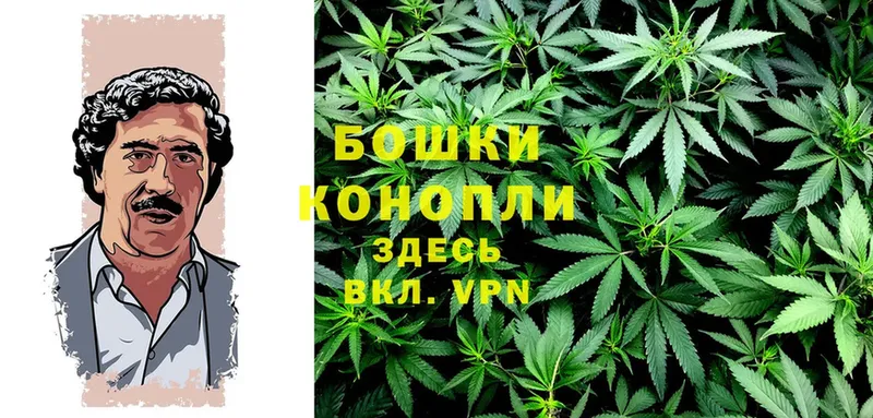 Бошки марихуана White Widow  kraken ссылки  darknet состав  Мензелинск 